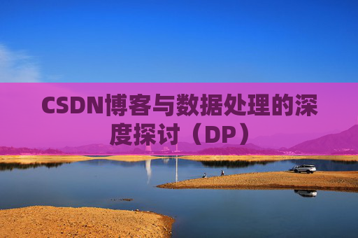CSDN博客与数据处理的深度探讨（DP）